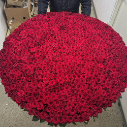Букет из 1001 красной розы в корзине «Величие»