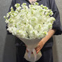 19 белых маттиол фото 4